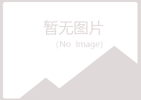 武城县夏日建筑有限公司